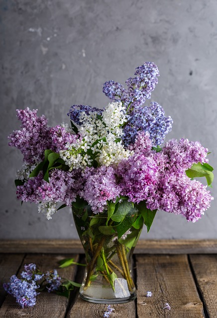 lilacs-1914124_640